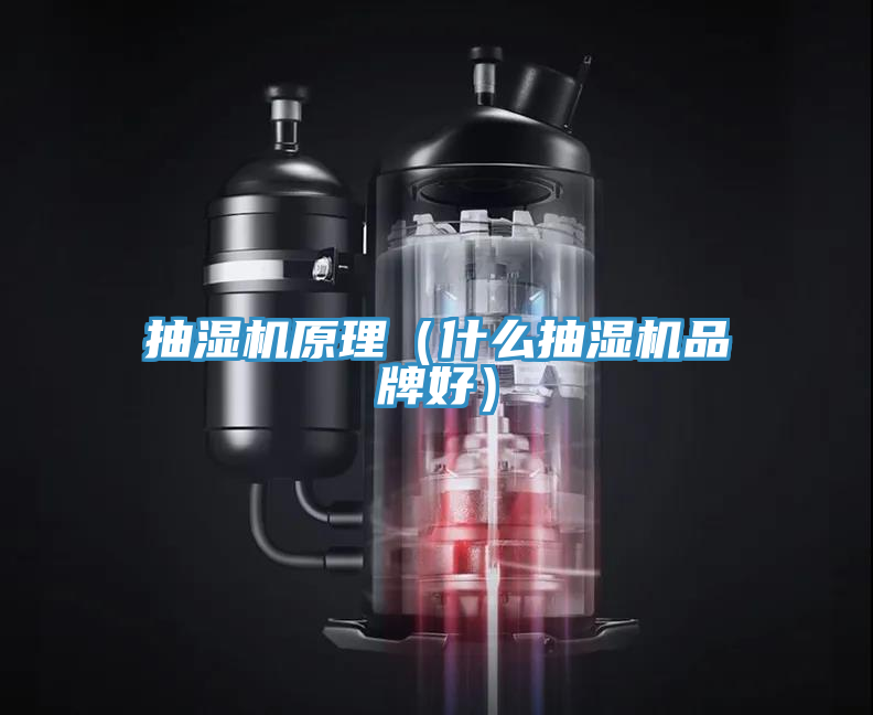 抽濕機原理（什么抽濕機品牌好）