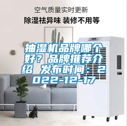 抽濕機(jī)品牌哪個(gè)好？品牌推薦介紹 發(fā)布時(shí)間：2022-12-17