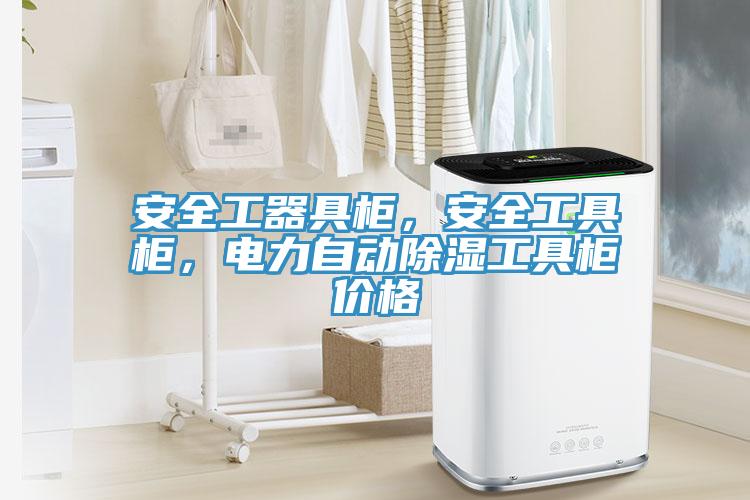 安全工器具柜，安全工具柜，電力自動(dòng)除濕工具柜價(jià)格