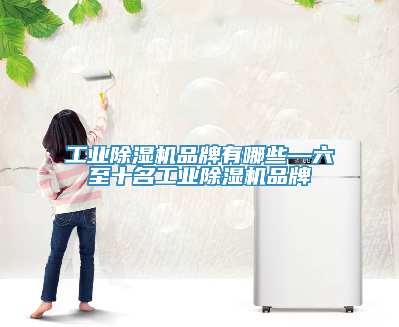 工業(yè)除濕機(jī)品牌有哪些—六至十名工業(yè)除濕機(jī)品牌