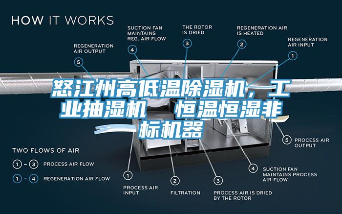 怒江州高低溫除濕機，工業(yè)抽濕機  恒溫恒濕非標機器