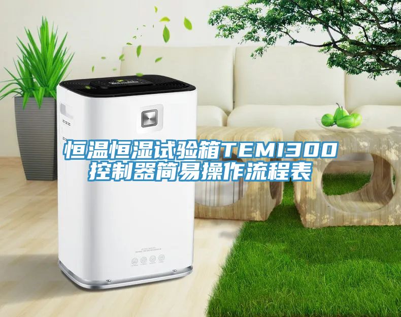 恒溫恒濕試驗(yàn)箱TEMI300控制器簡易操作流程表