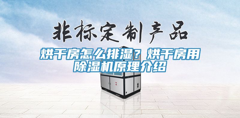 烘干房怎么排濕？烘干房用除濕機(jī)原理介紹