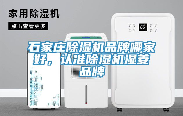 石家莊除濕機品牌哪家好，認準除濕機濕菱品牌