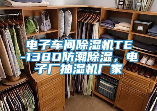 電子車間除濕機TE-138D防潮除濕，電子廠抽濕機廠家