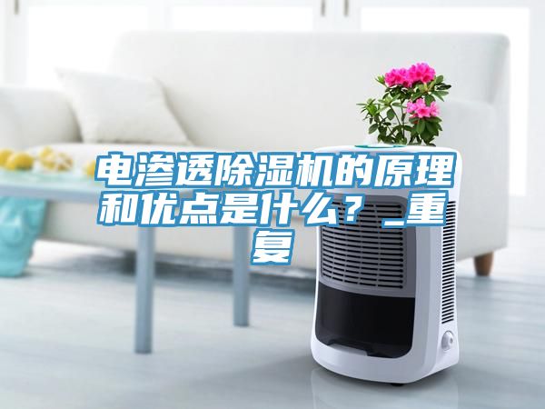 電滲透除濕機的原理和優(yōu)點是什么？_重復(fù)