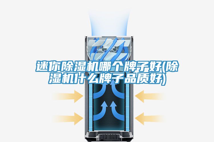 迷你除濕機哪個牌子好(除濕機什么牌子品質好)