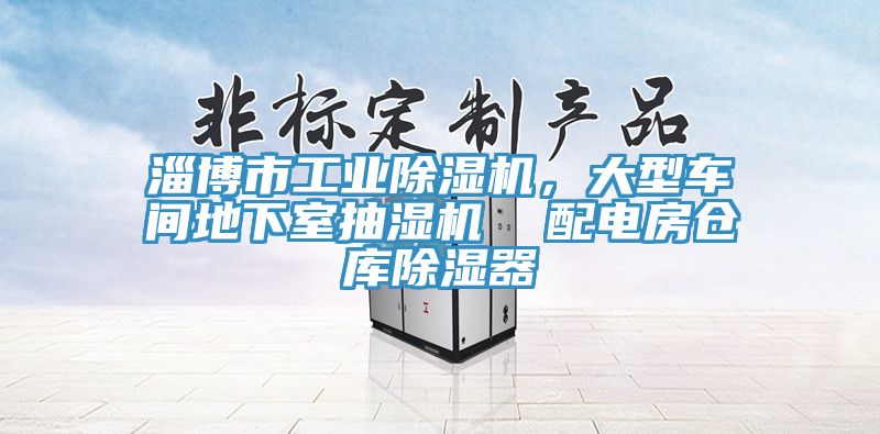 淄博市工業(yè)除濕機，大型車間地下室抽濕機  配電房倉庫除濕器