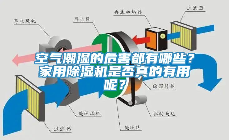 空氣潮濕的危害都有哪些？家用除濕機是否真的有用呢？