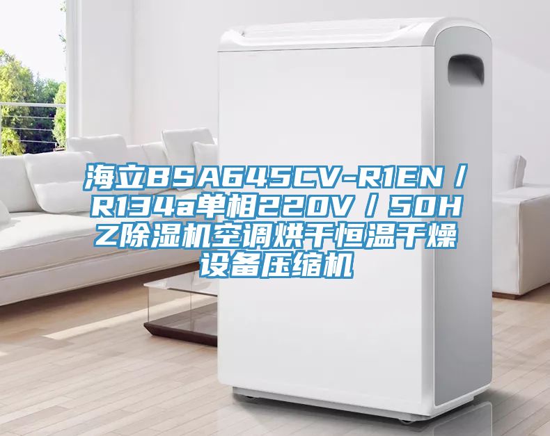 海立BSA645CV-R1EN／R134a單相220V／50HZ除濕機空調(diào)烘干恒溫干燥設(shè)備壓縮機