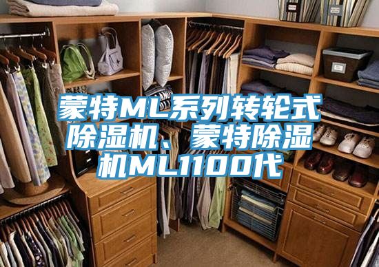 蒙特ML系列轉(zhuǎn)輪式除濕機、蒙特除濕機ML1100代