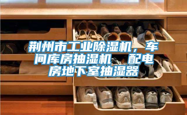 荊州市工業(yè)除濕機，車間庫房抽濕機  配電房地下室抽濕器