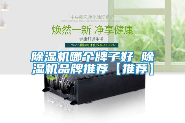 除濕機哪個牌子好 除濕機品牌推薦【推薦】