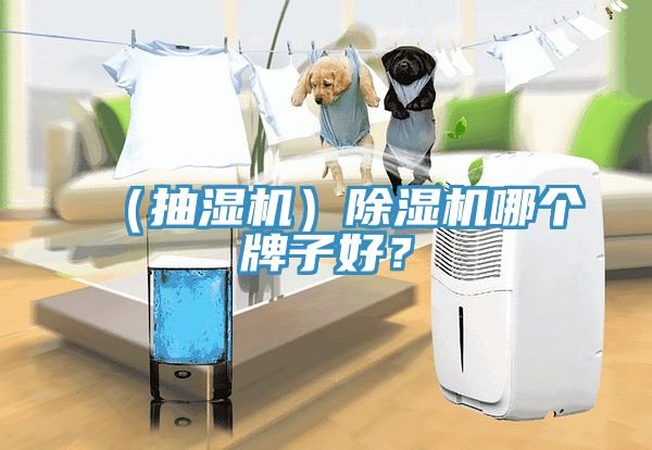 （抽濕機）除濕機哪個牌子好？